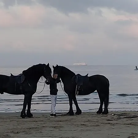 Perla 3 - Seaview & *