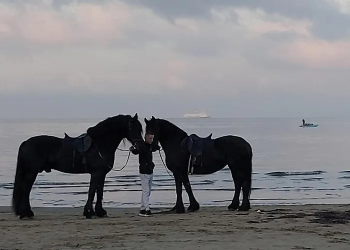 Perla 3 - Seaview & *